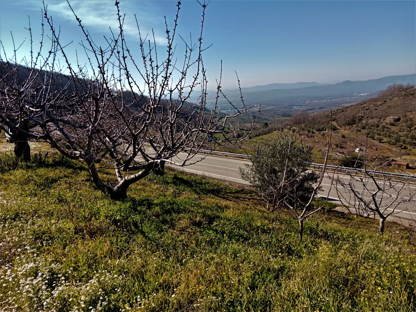 Terreni e lotti in vendita a Barrado