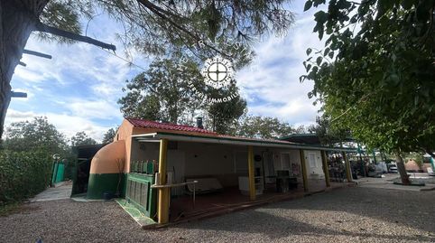 Se vende parcela con pozo, casa legalizada y bosque de Paulownia