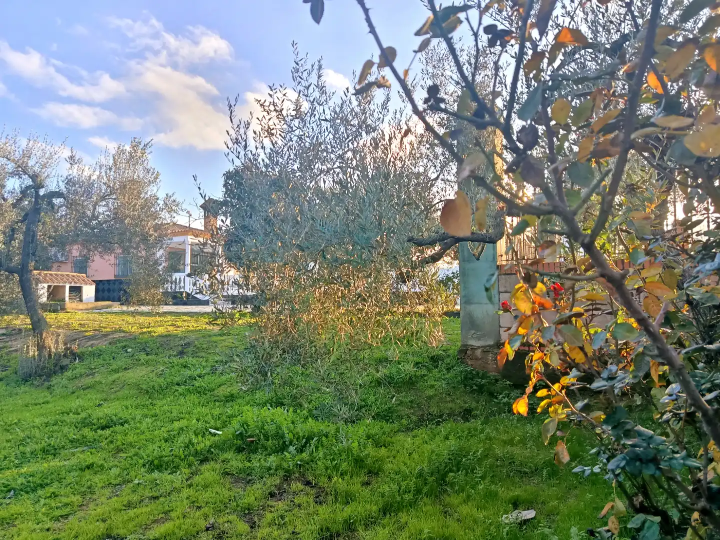 Country house zum Verkauf in Hinojos mit Privatgarten, Terrasse und Schwimmbad