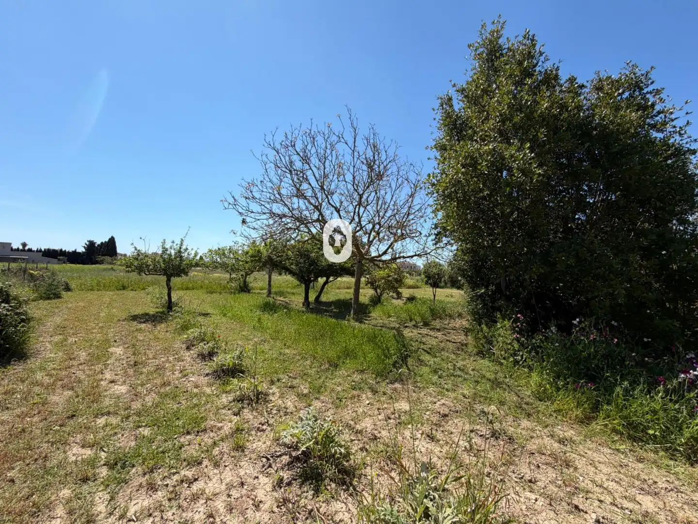 Finca rústica en venta en Binissalem