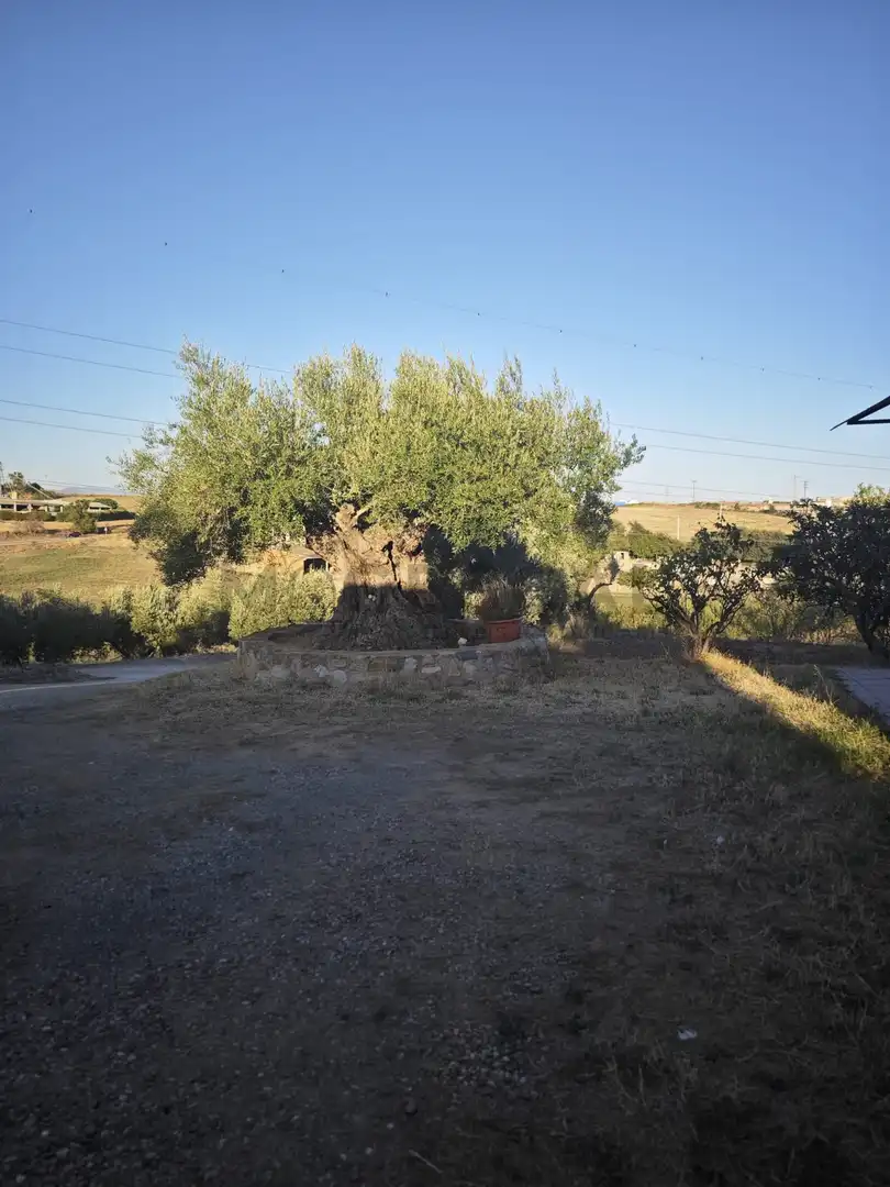 Casa rustica con piscina in vendita a CAN TURULL, imagen 46