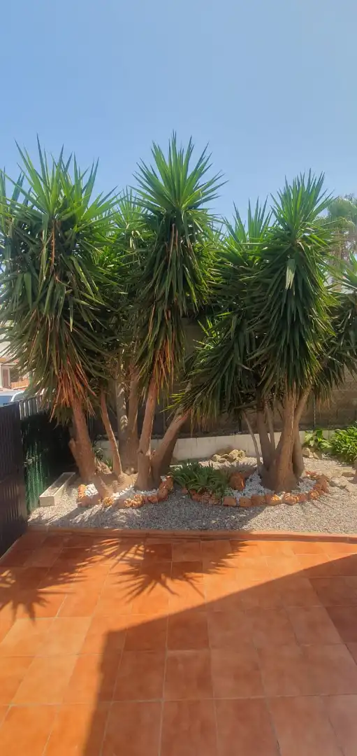 Maison mitoyenne avec piscine à vendre à Carrer de la Pujada del Puig Rom, imagen 25