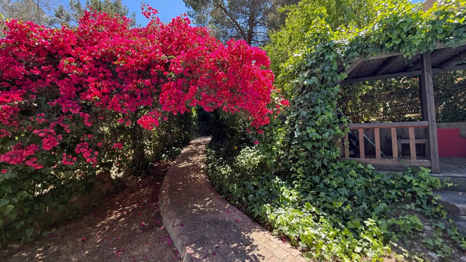 Chalet con piscina en venta en Sant Agustí-Cala de Bou, imagen 7
