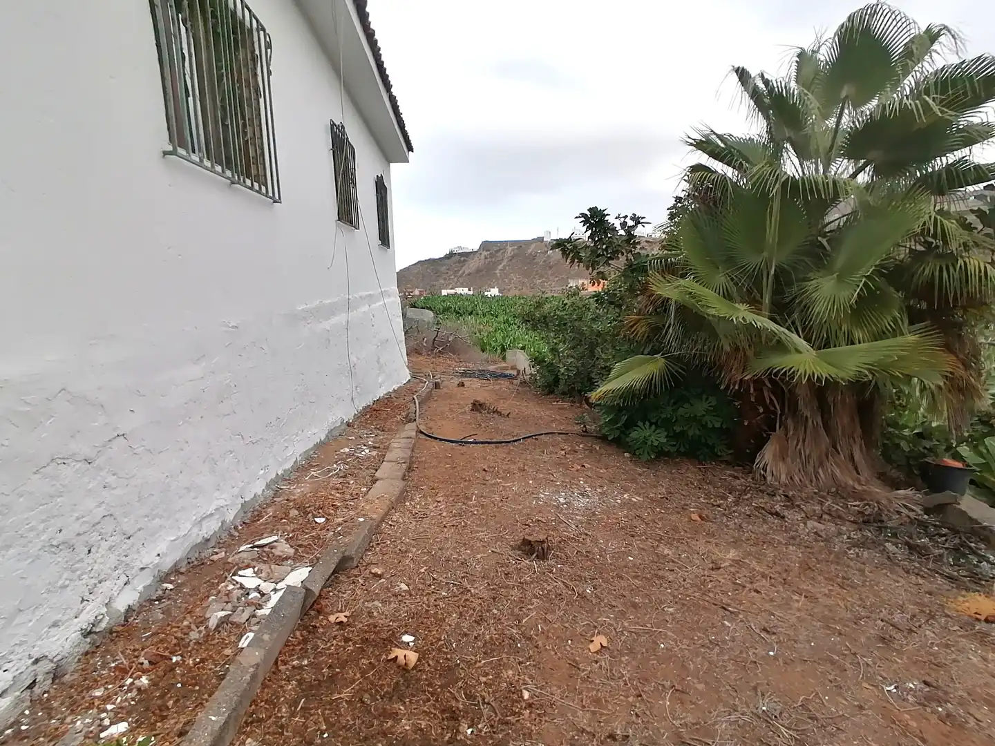 Vista exterior de Casa o xalet de lloguer en Arucas amb Jardí privat, Terrassa i Traster