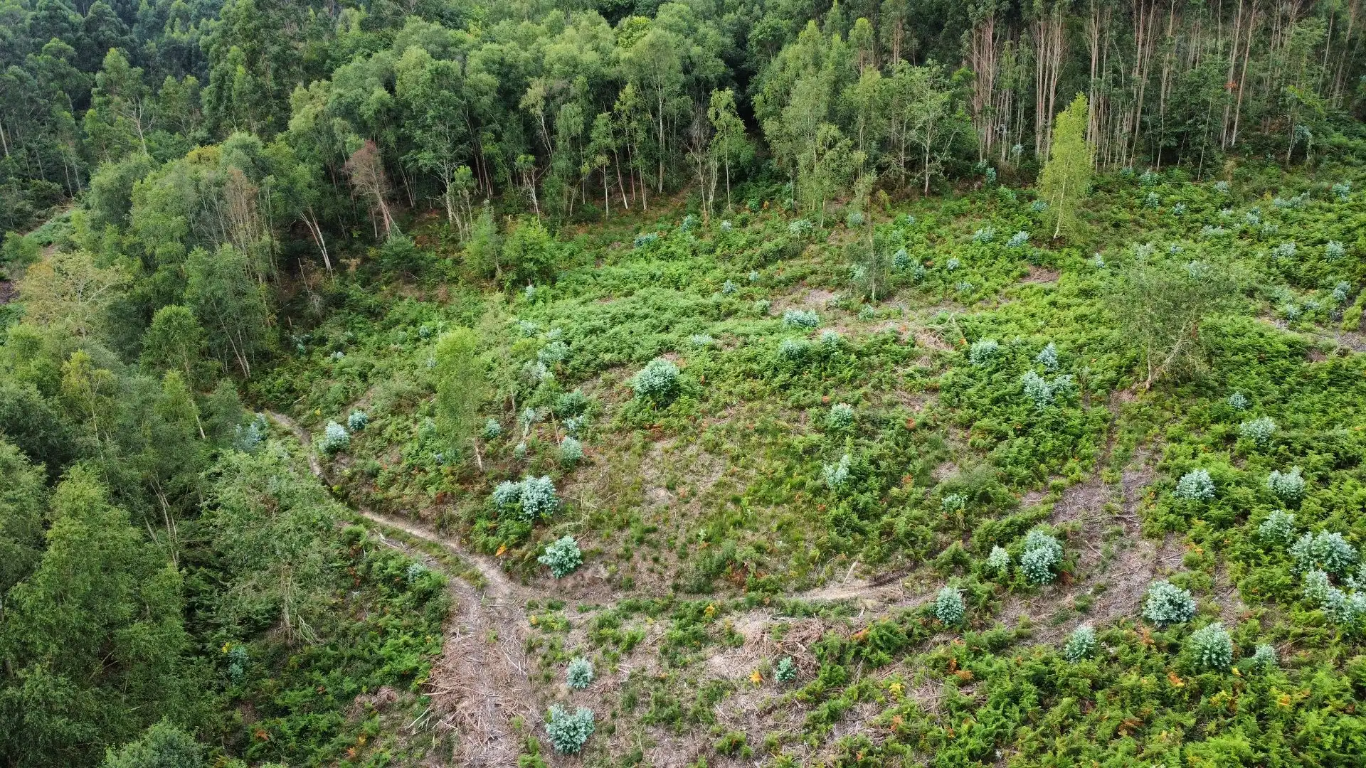 Terreno rustico in vendita a Pría - Nueva-Hontoria - Naves, imagen 4