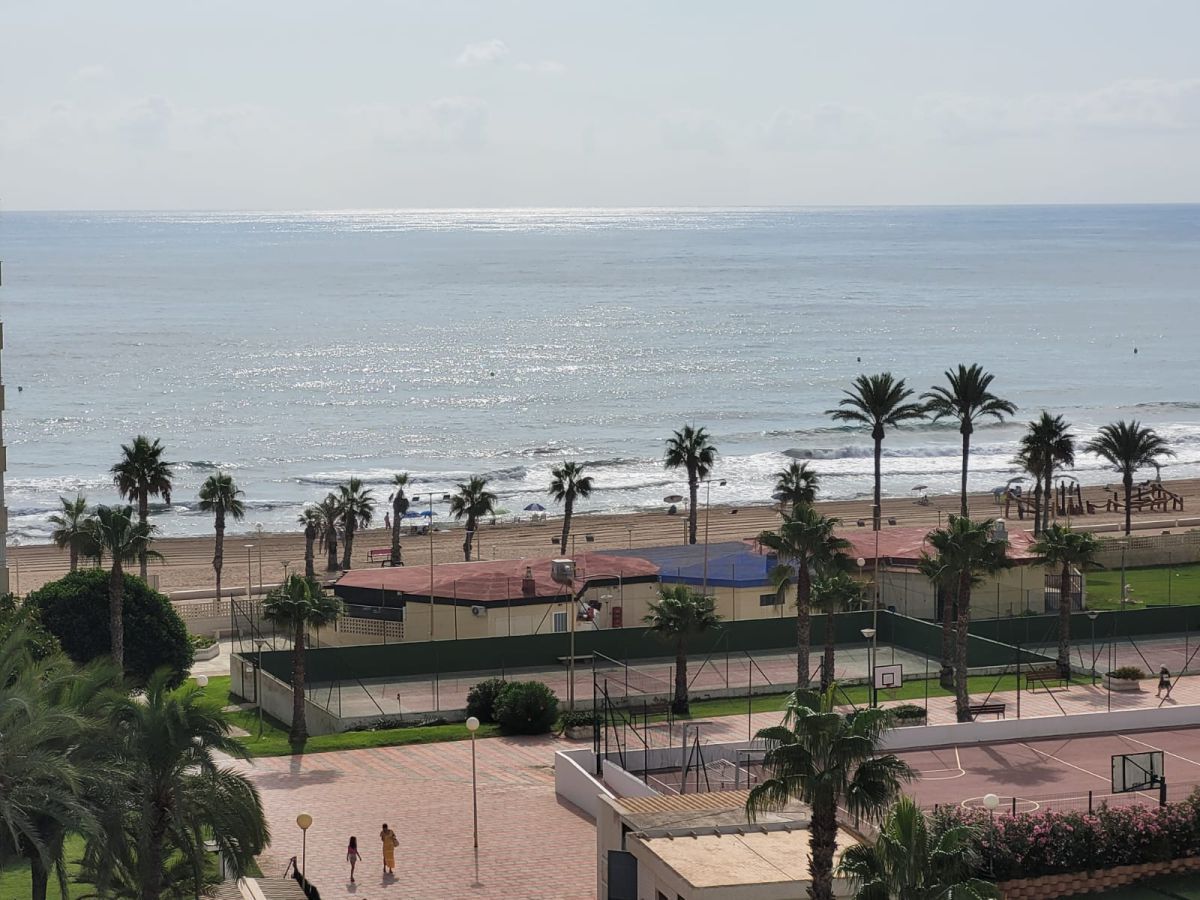 Bedroom of Apartment to rent in Alicante / Alacant  with Air Conditioner, Heating and Private garden