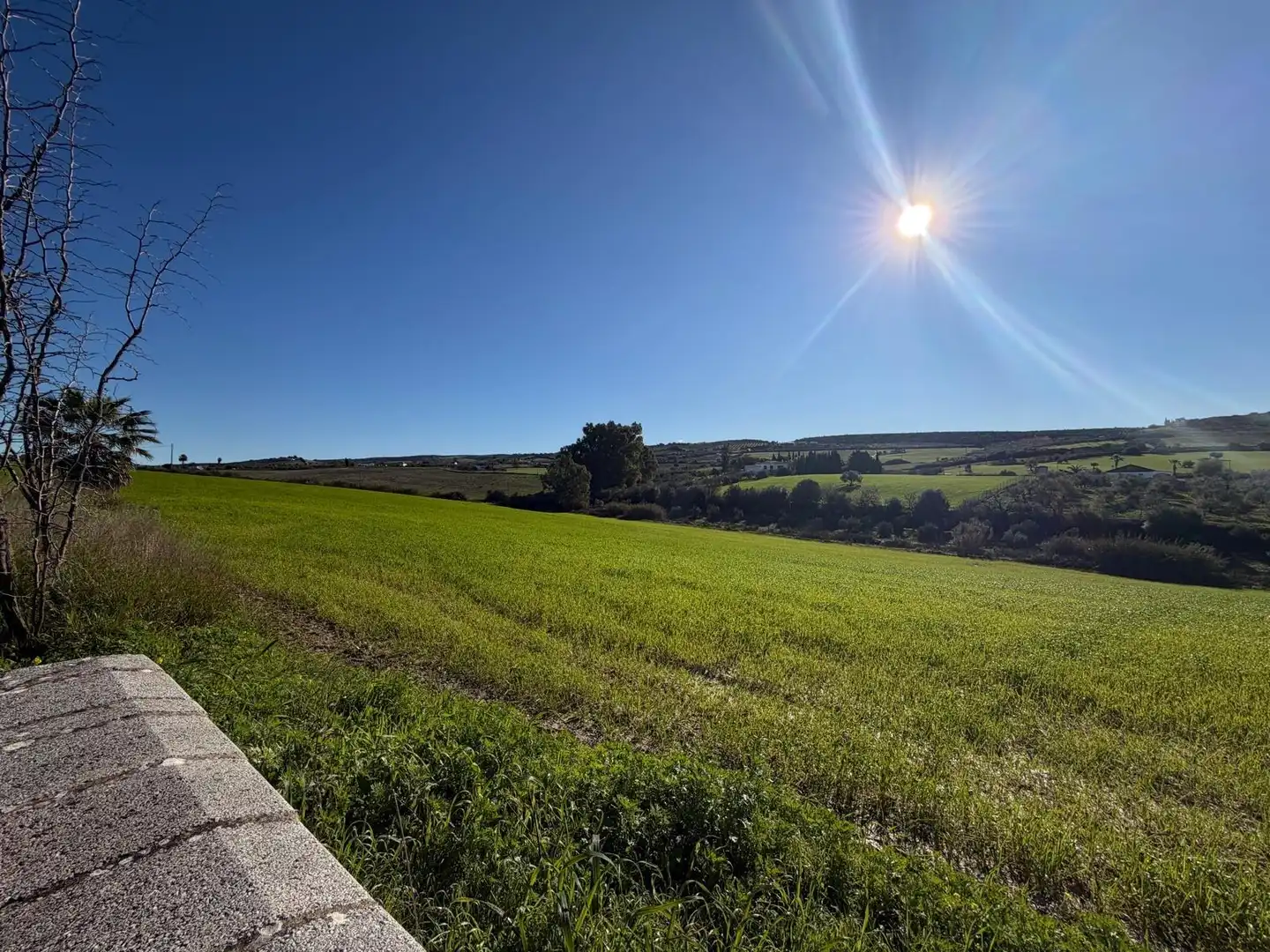 Country homes for sale in Arcos de la Frontera