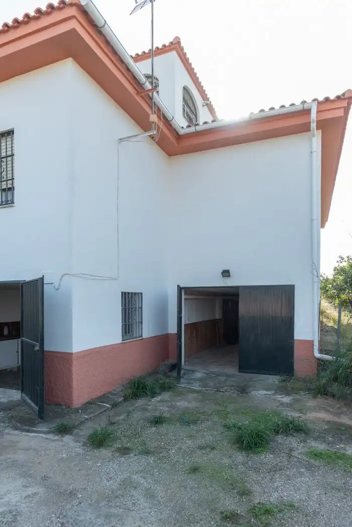 Vista exterior de Casa o chalet en venta en Alcalá de Guadaira con Piscina