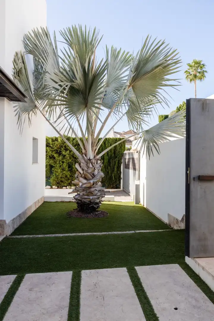 Villa con terrazza in vendita a La Alquería, imagen 34
