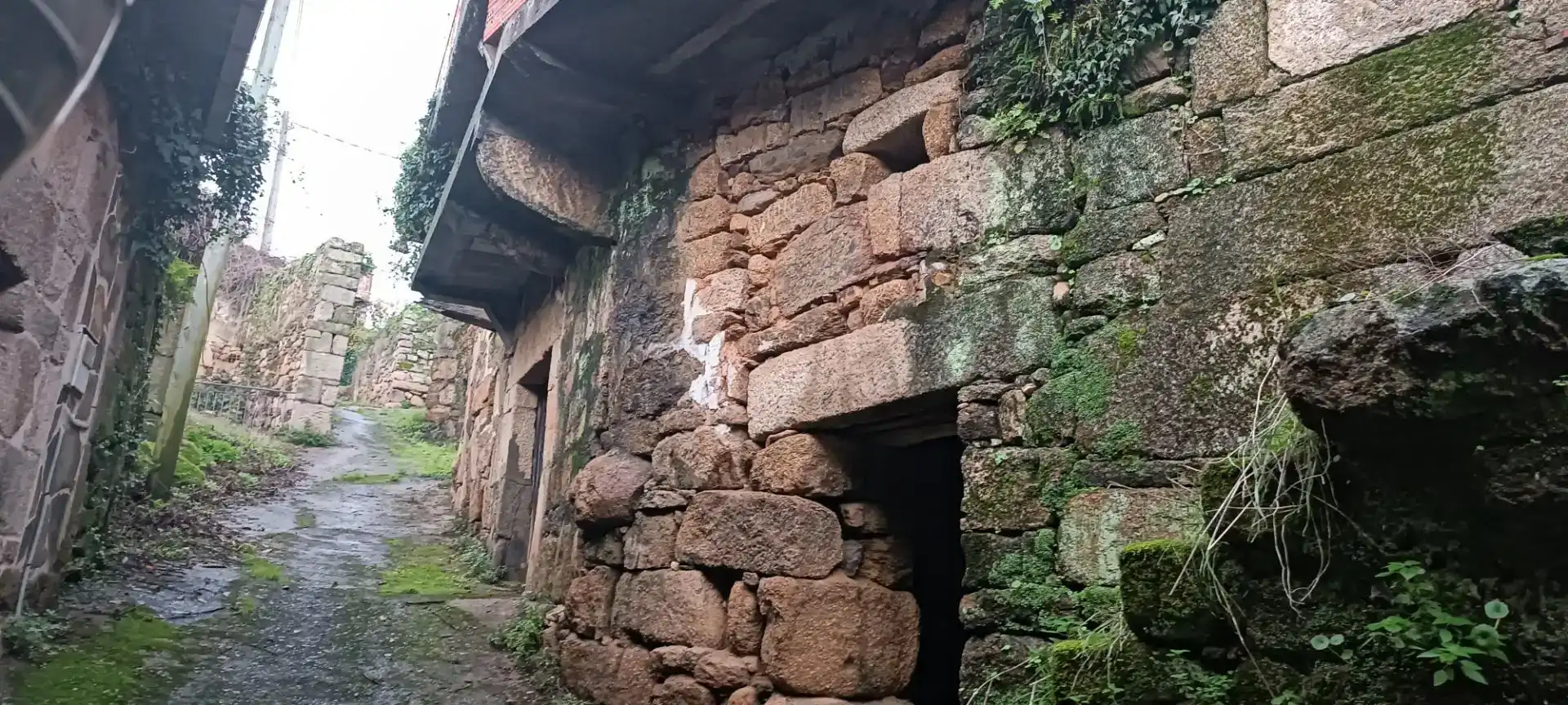Vista exterior de Planta baixa en venda en Ribadavia amb Jardí privat i Balcó