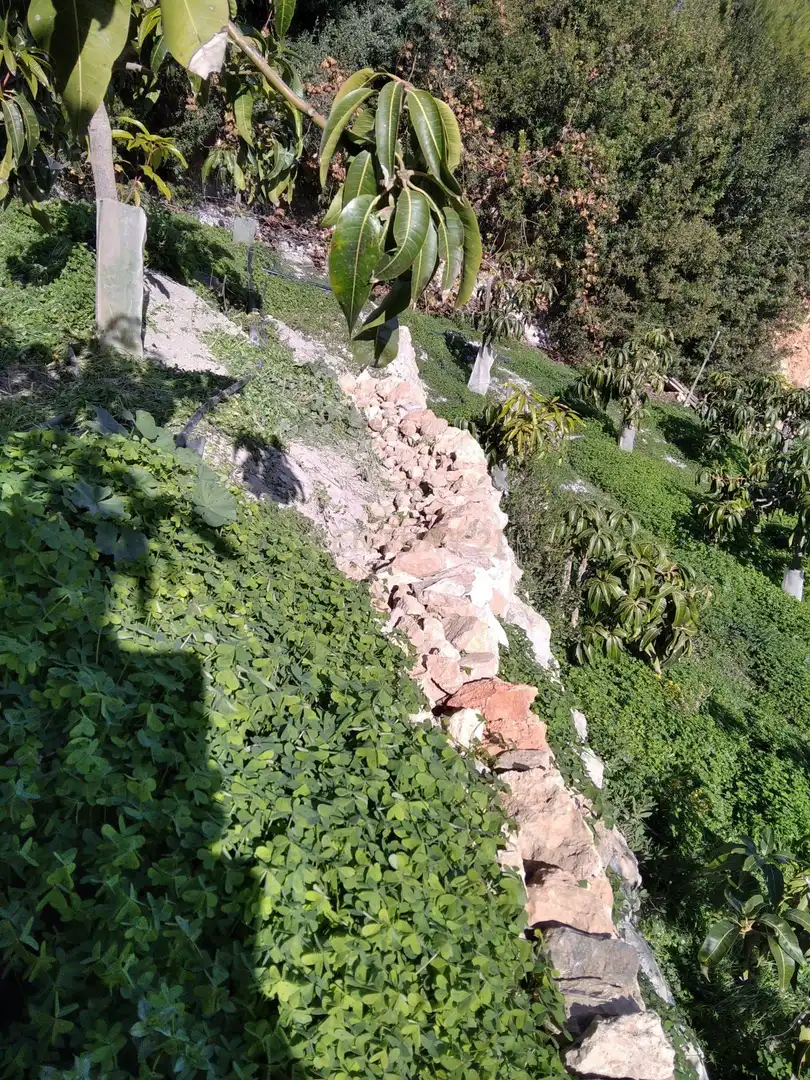 Terreni e lotti in vendita a PHPX+WF Gualchos, Spain, imagen 50