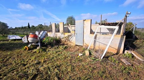 Parcela Rústica de 6.316 m2 en Felanitx  Zona Segona Volta, imatge 2