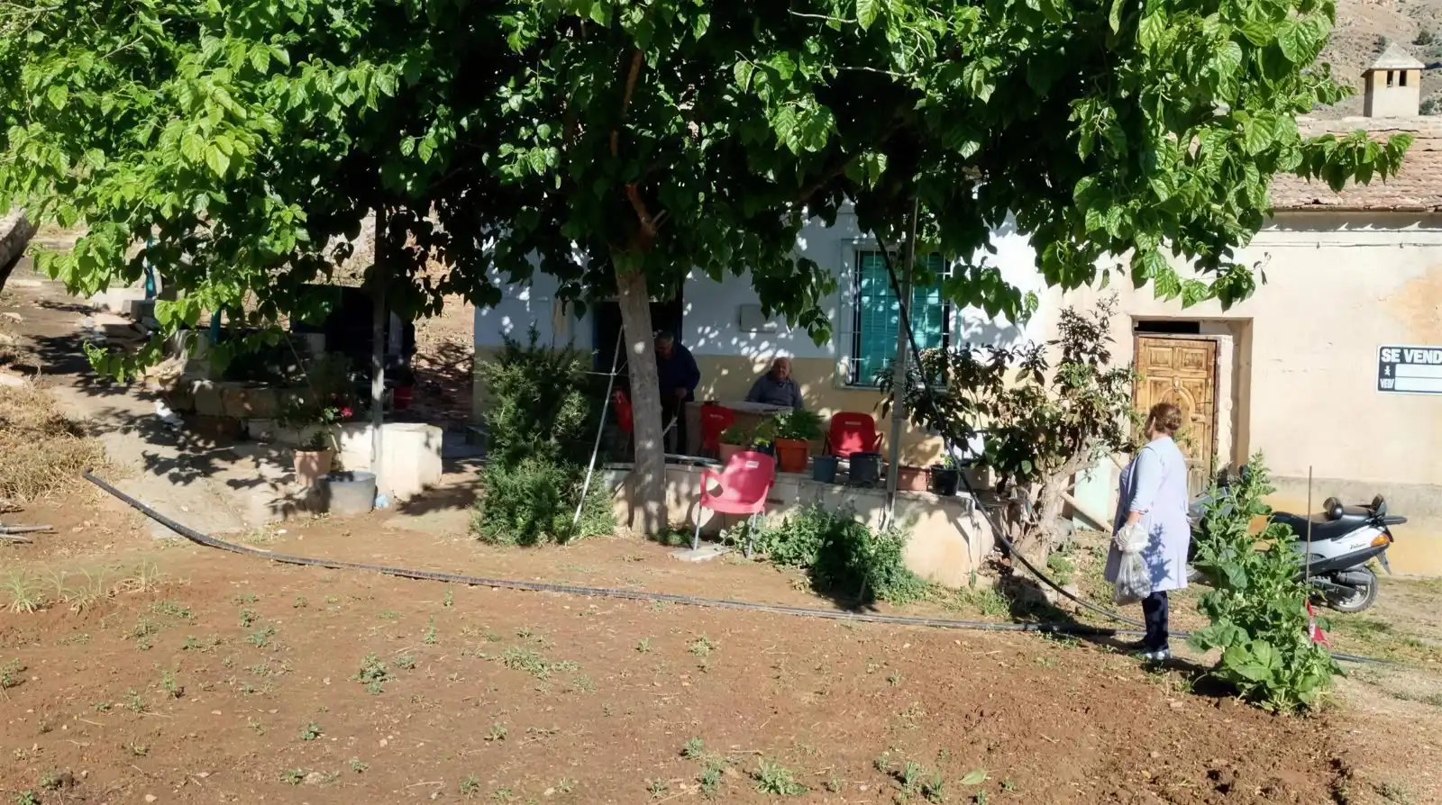 Jardín de Casa adosada en venta en Orihuela