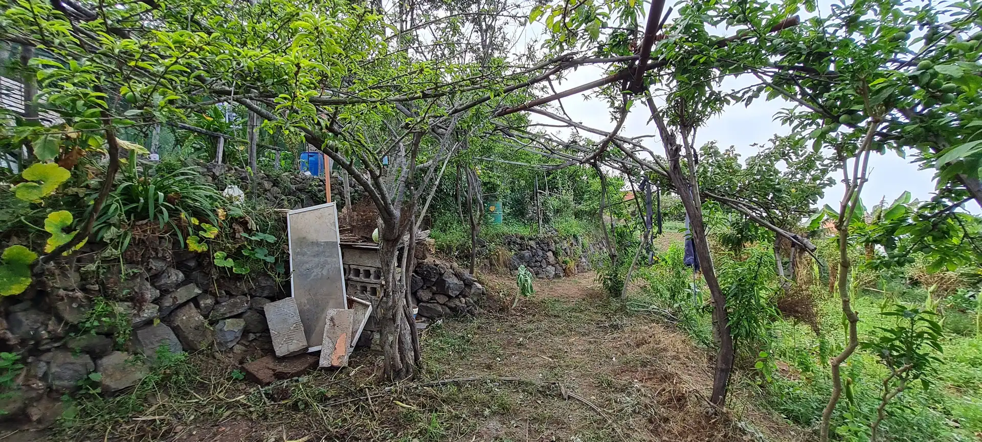 Finca rústica en venda a Icod de los Vinos pueblo
