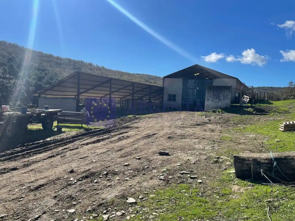 House for sale in Diseminados Carrascal, imagen 6