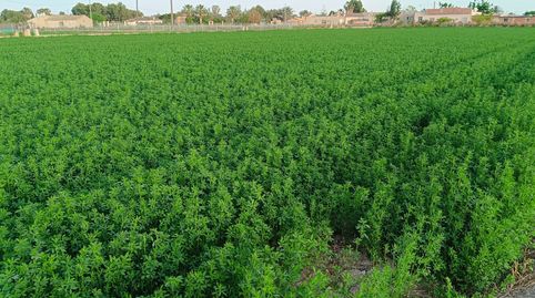 Foto 2 de Finca rústica en venta en Camino del Almajal, Callosa de Segura, Alicante