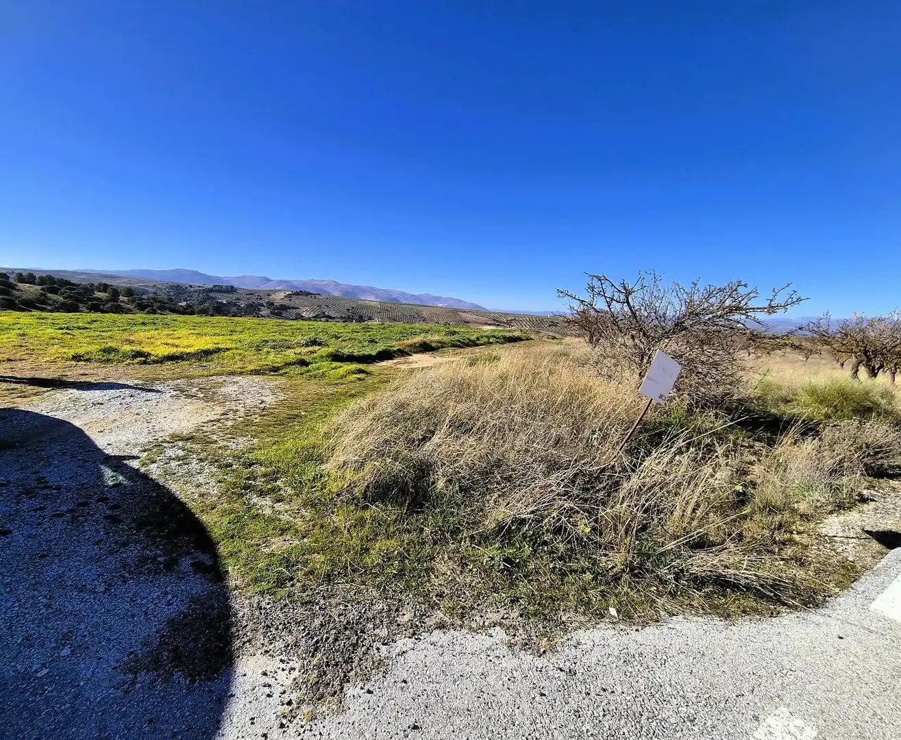 Rural land for sale in Alhama de Granada, imagen 5
