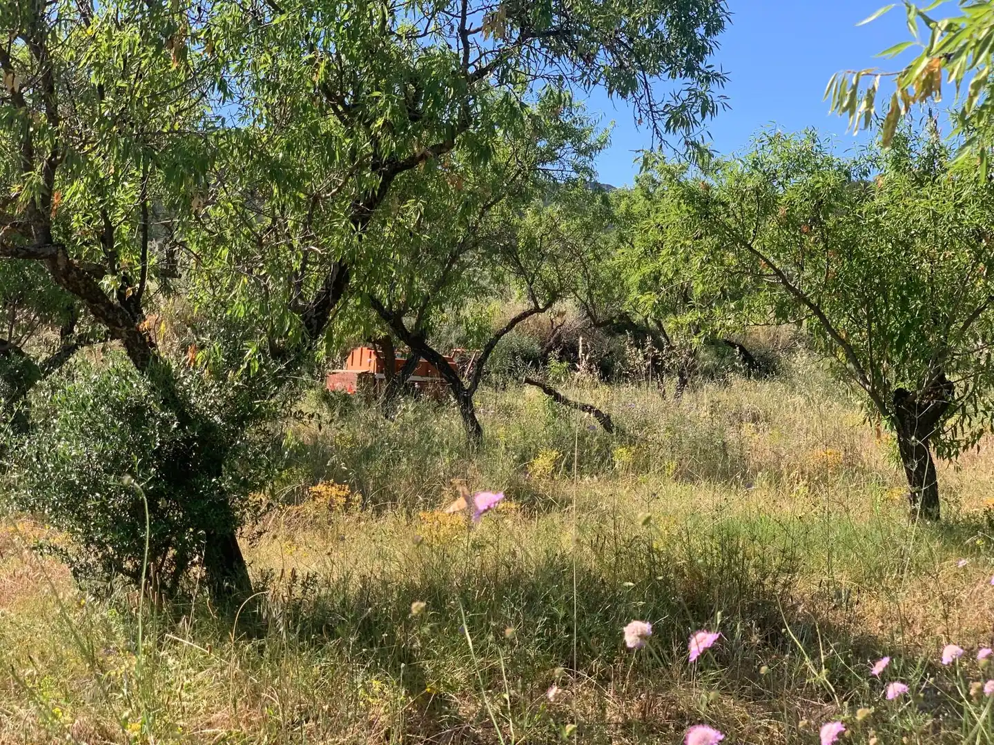 Terreno rustico in vendita a Corbera d'Ebre