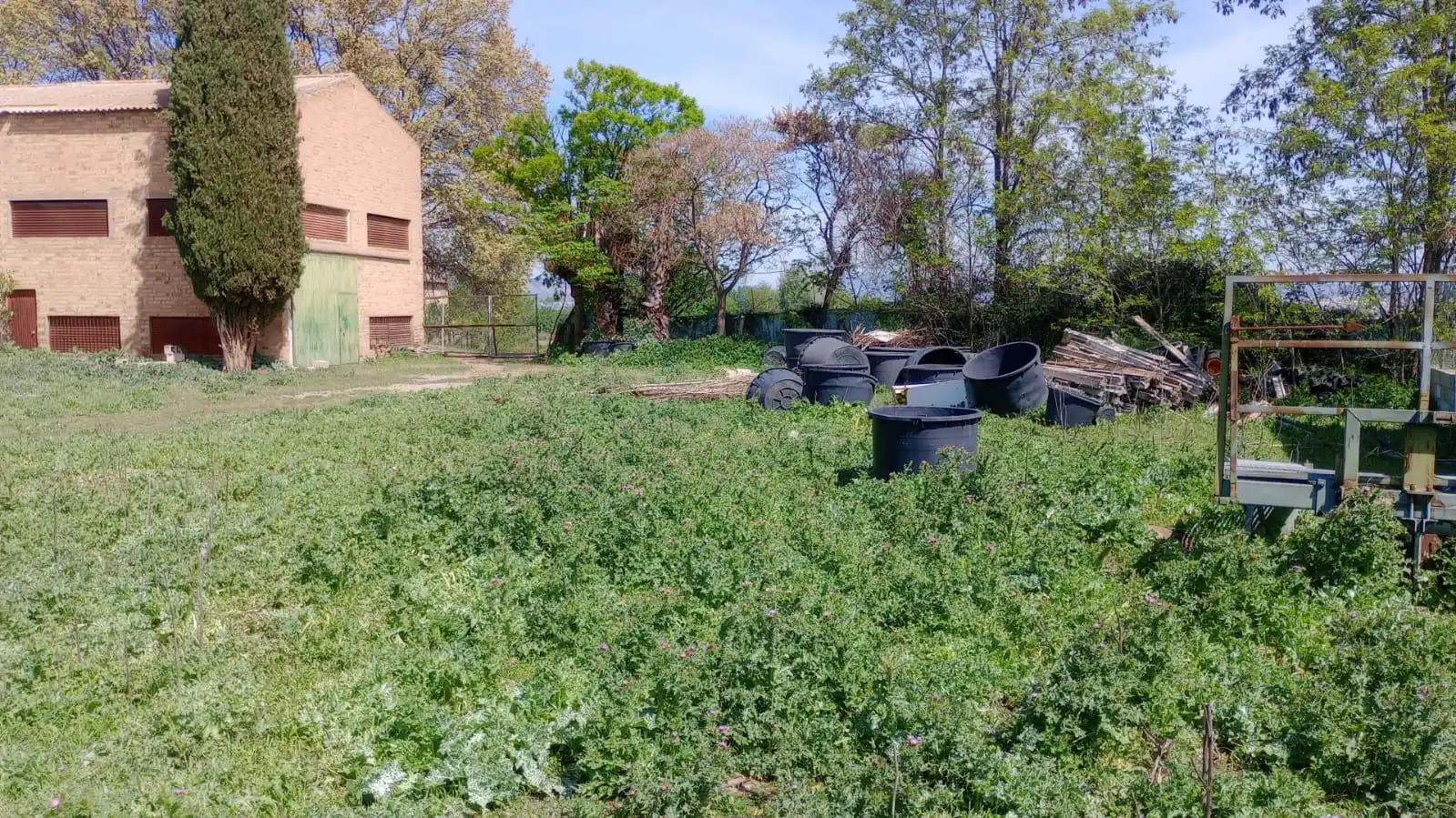 Terrenos y solares en venta en Casco Histórico, imagen 13