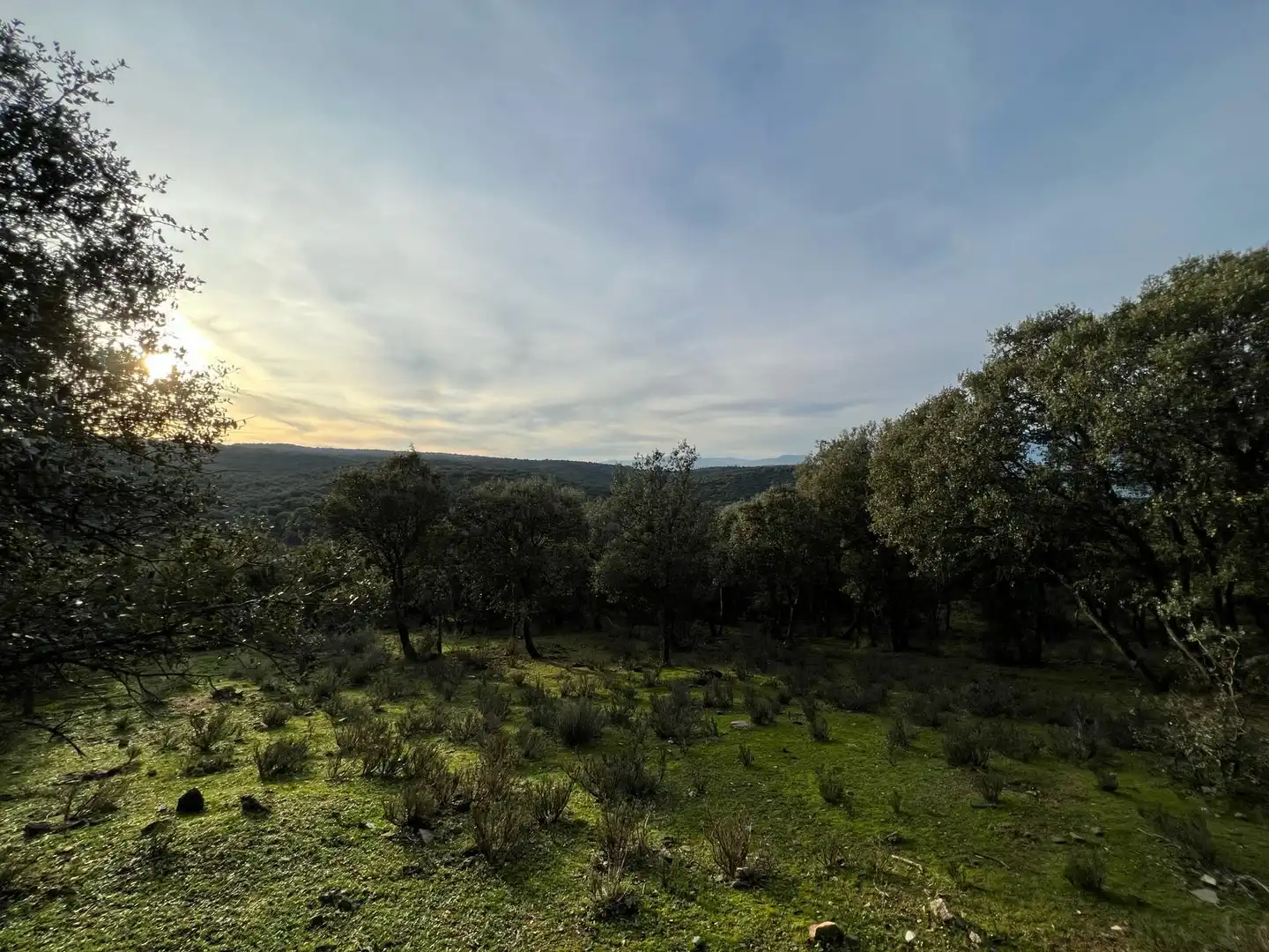 Terreno en venta en Almendral de la Cañada, Toledo