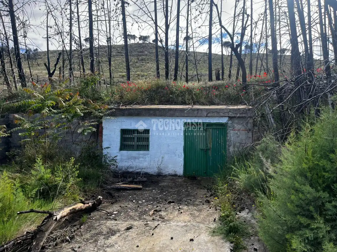 Land for sale in Borja