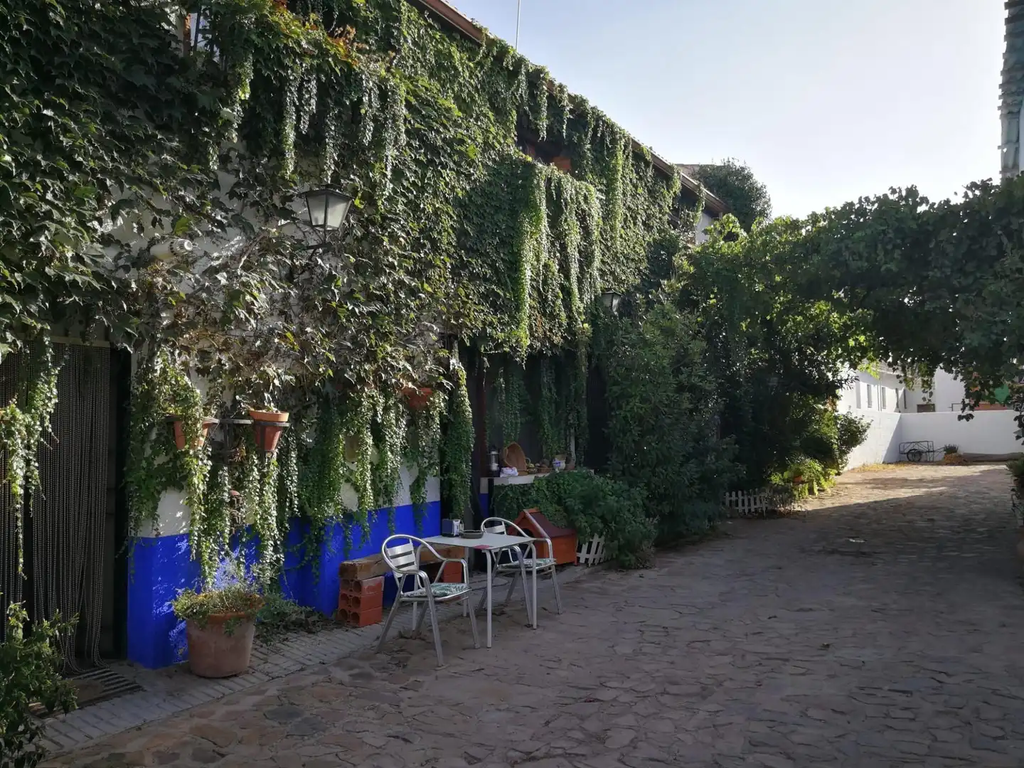 Jardín de Edificio en venta en Villanueva de los Infantes (Ciudad Real)
