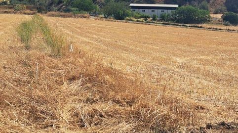 Foto 2 de Finca rústica en venda a Zona de la Vega, Antequera