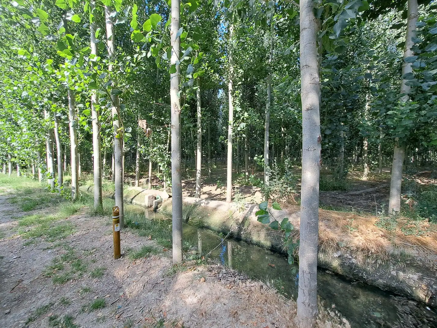 Exterior view of Land for sale in Fuente Vaqueros