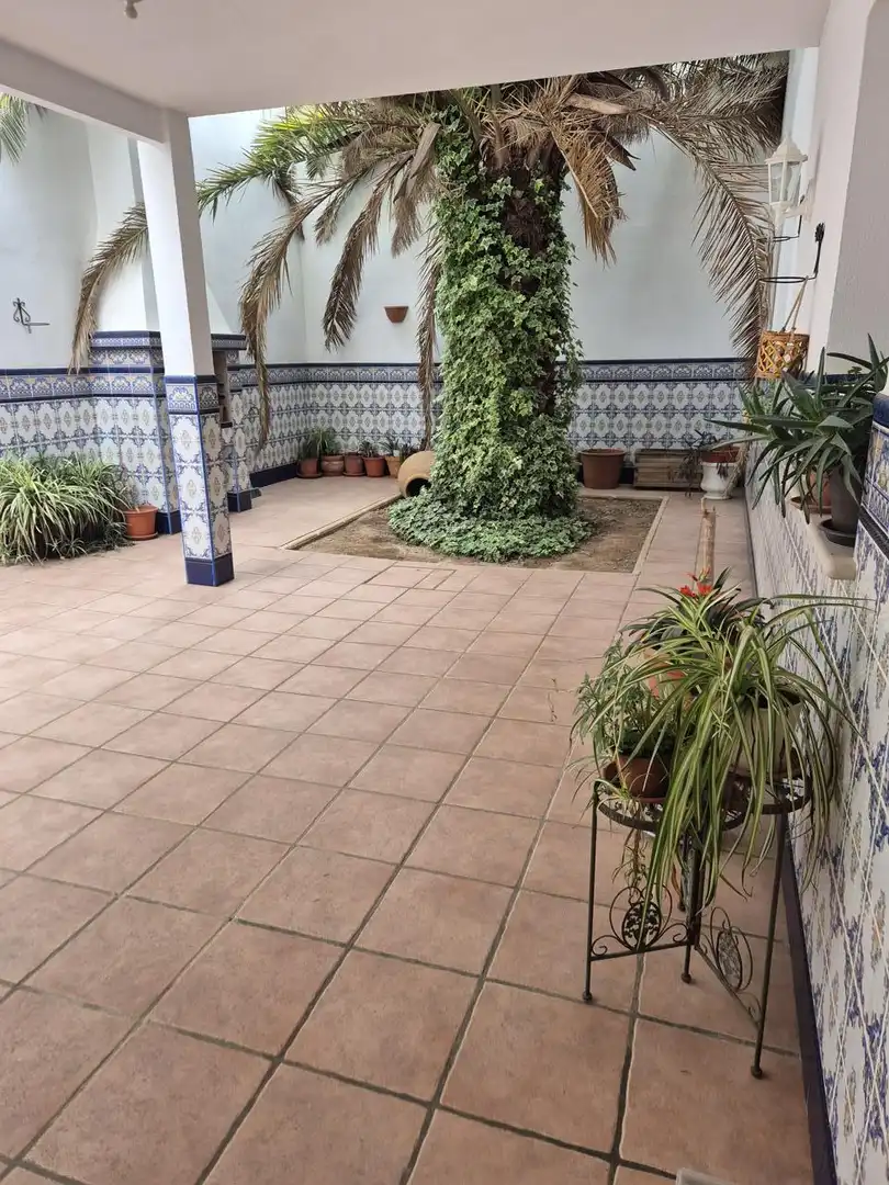 Maison à vendre à Daniel Aliseda, imagen 23