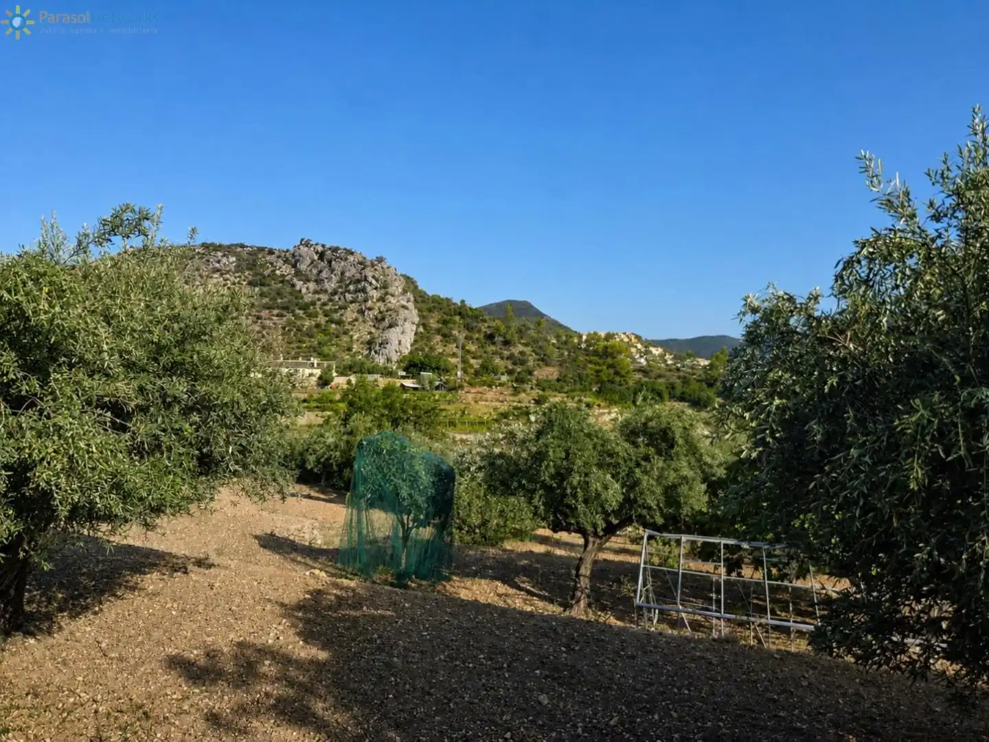 Rural land for sale in L'Atzúbia