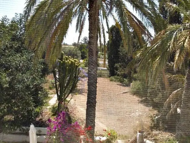 Casa con piscina en venta en Partidas de Alicante, imagen 41