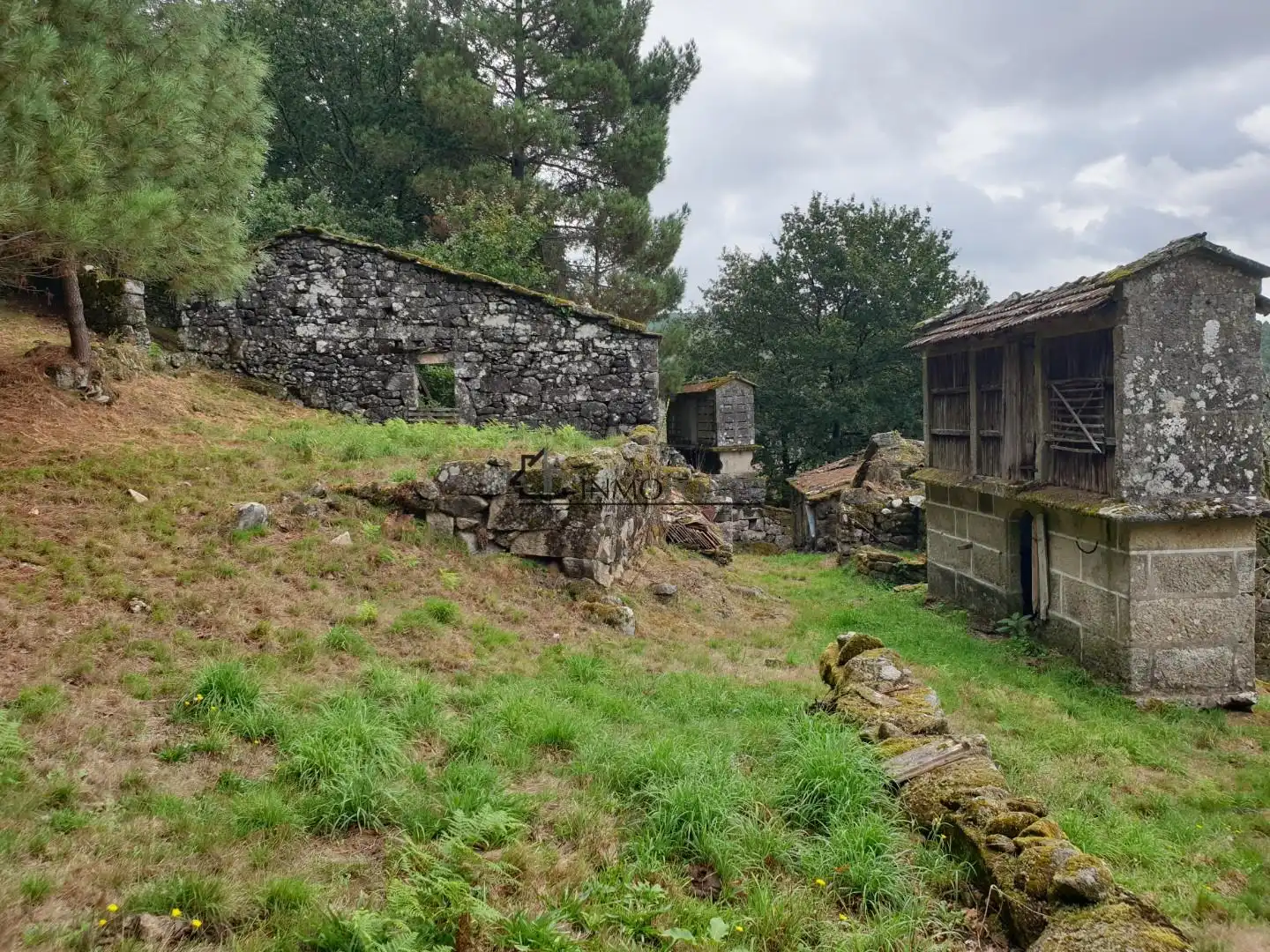 Vista exterior de Casa o chalet en venta en Campo Lameiro con Jardín privado