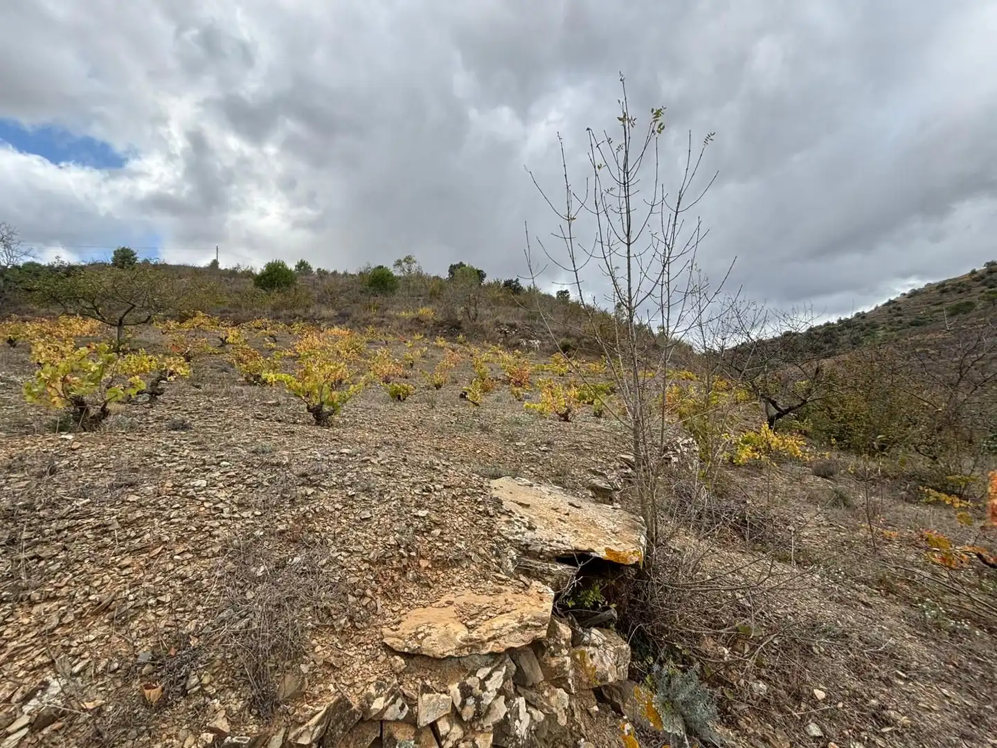 Terreno rústico en venta en Porrera, imagen 31