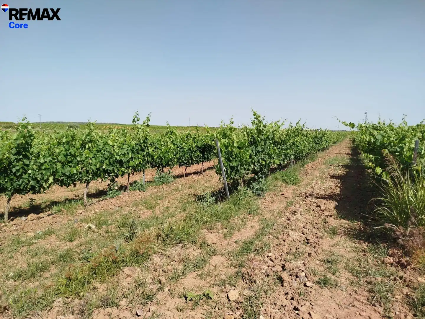 Terreni e lotti in vendita a Carretera de Sevilla - Los Montitos, imagen 5