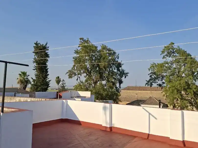 Terrassa de Pis en venda en Bornos amb Aire condicionat, Jardí privat i Moblat