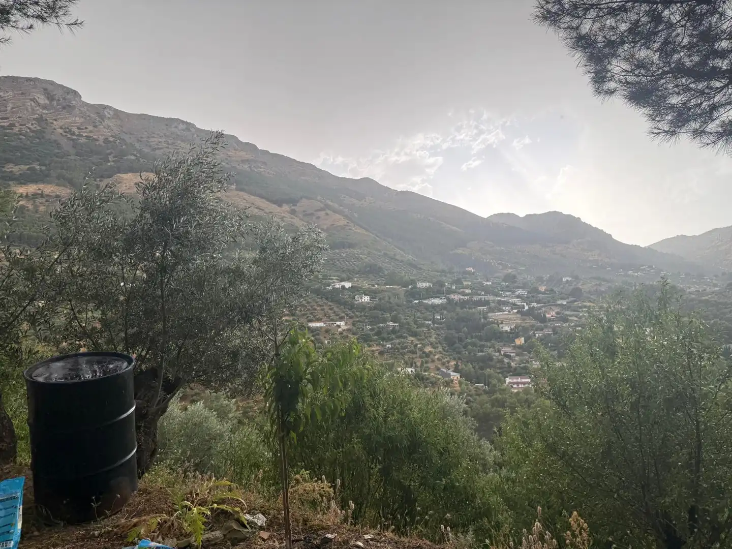 Außenansicht von Country house zum Verkauf in Jaén mit Privatgarten, Terrasse und Schwimmbad
