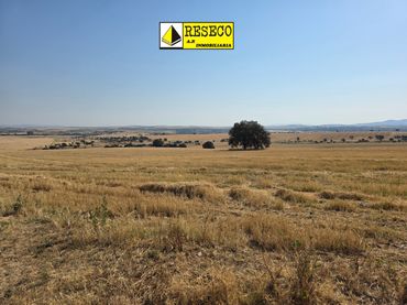 Terreny rústic en venda a Villanueva de la Serena