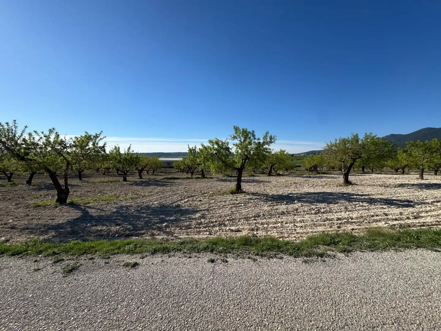 Casa con jardín en venta en Moratalla, imagen 22