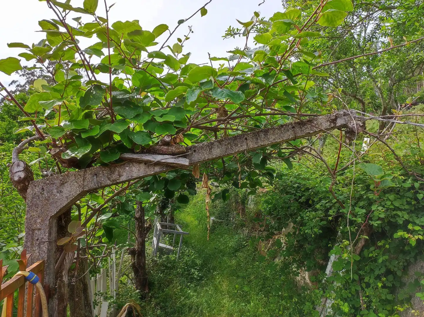 Villa avec jardin à vendre à Nabeiras, imagen 17