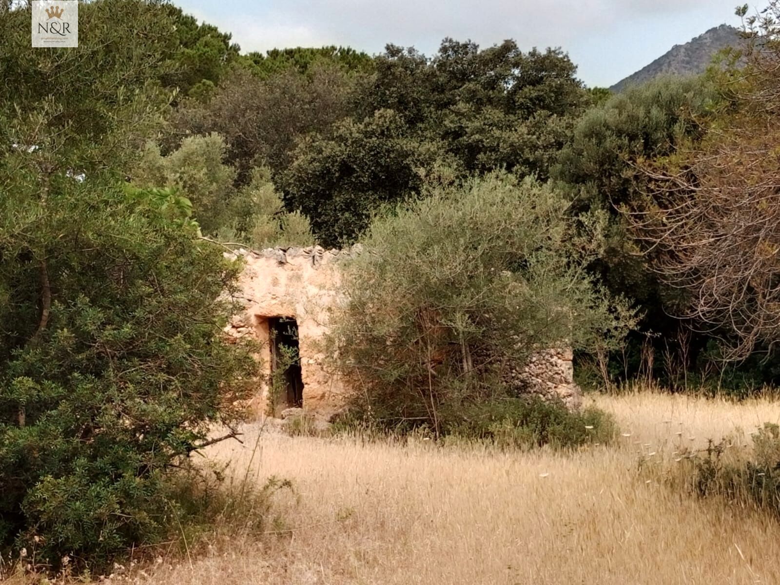 Finca rústica en venda a Centro