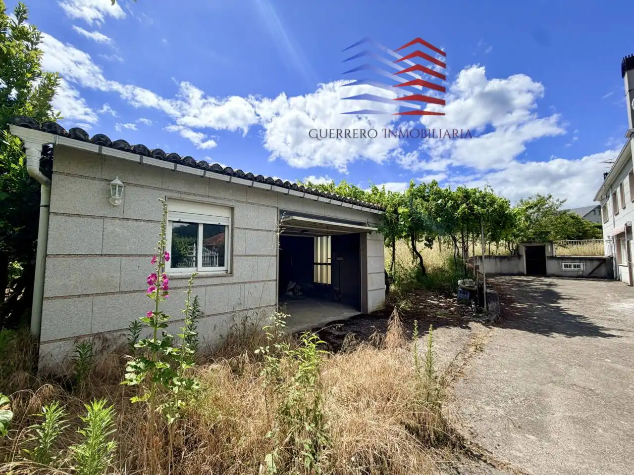 Vista exterior de Casa o chalet en venta en Coles con Calefacción, Jardín privado y Terraza