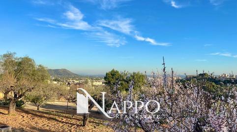 Photo 5 of House or chalet for sale in 9, Centro, Inca