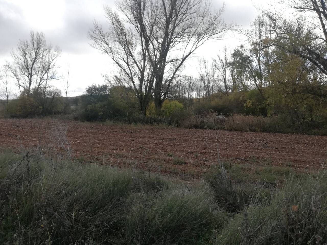 Grundstücke zum verkauf in Ibeas de Juarros