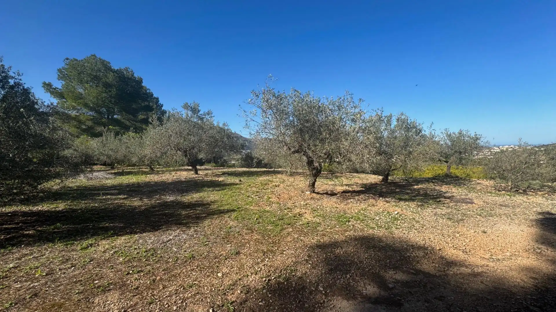 Terrenos y solares en venta en Orba, imagen 6