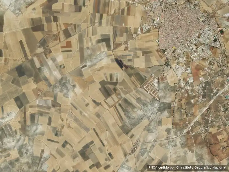 Appartamento in vendita a Marchena, imagen 3