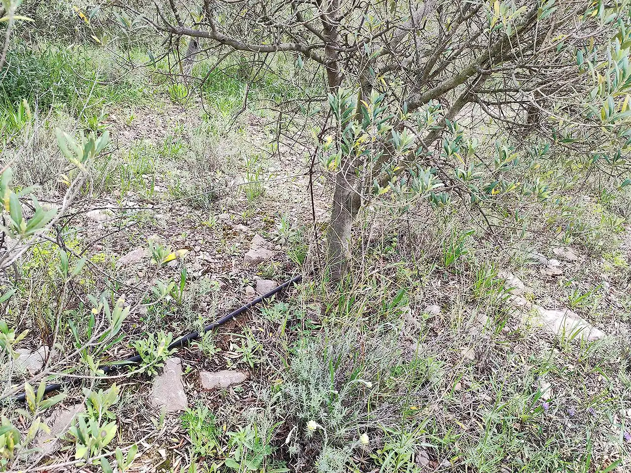 Finca rústica en venta en La Sénia con Terraza