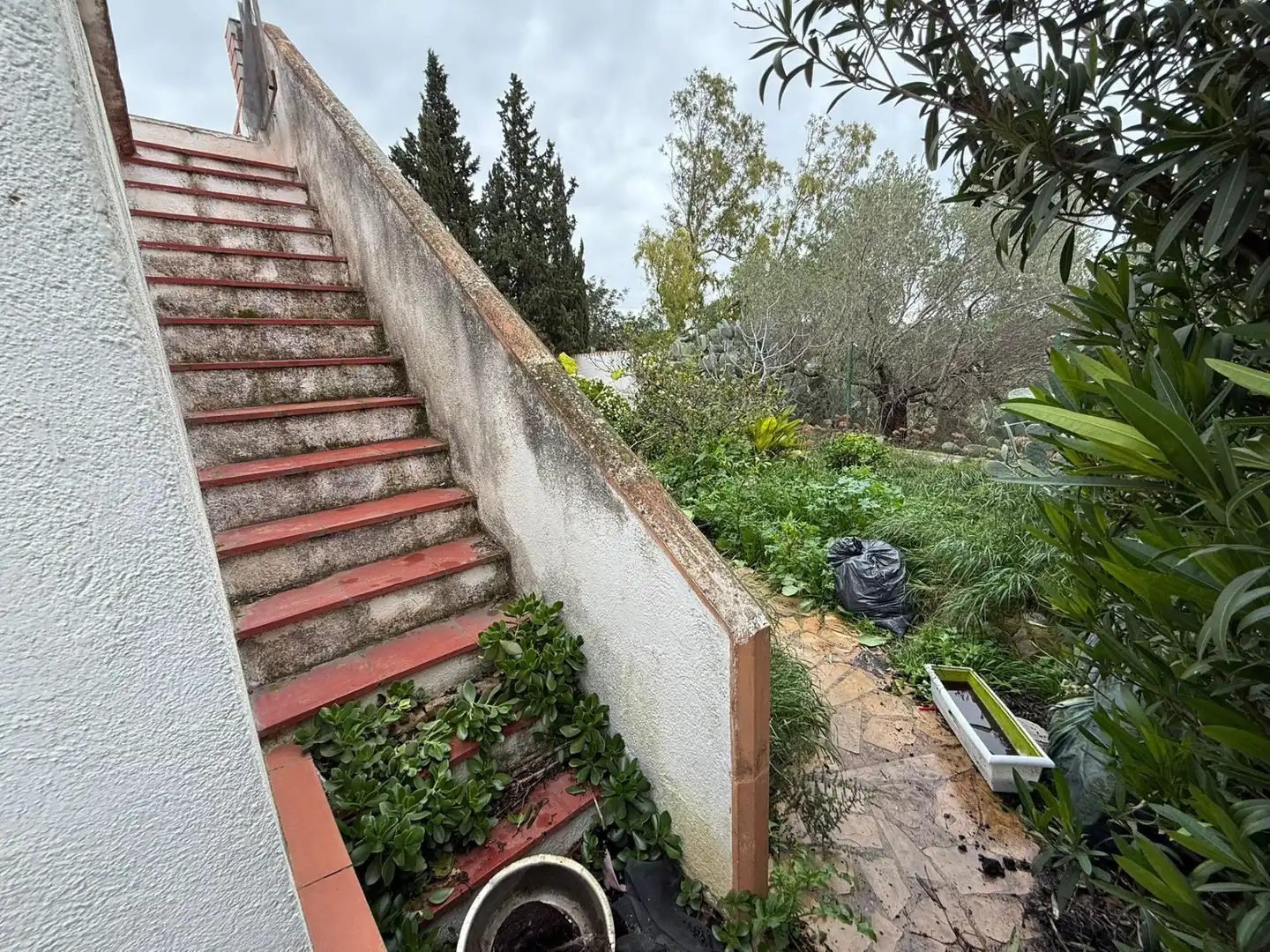 Jardín de Finca rústica en venta en Camarles
