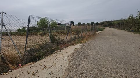Foto 5 de Terreno en venta en Ceutí, Murcia