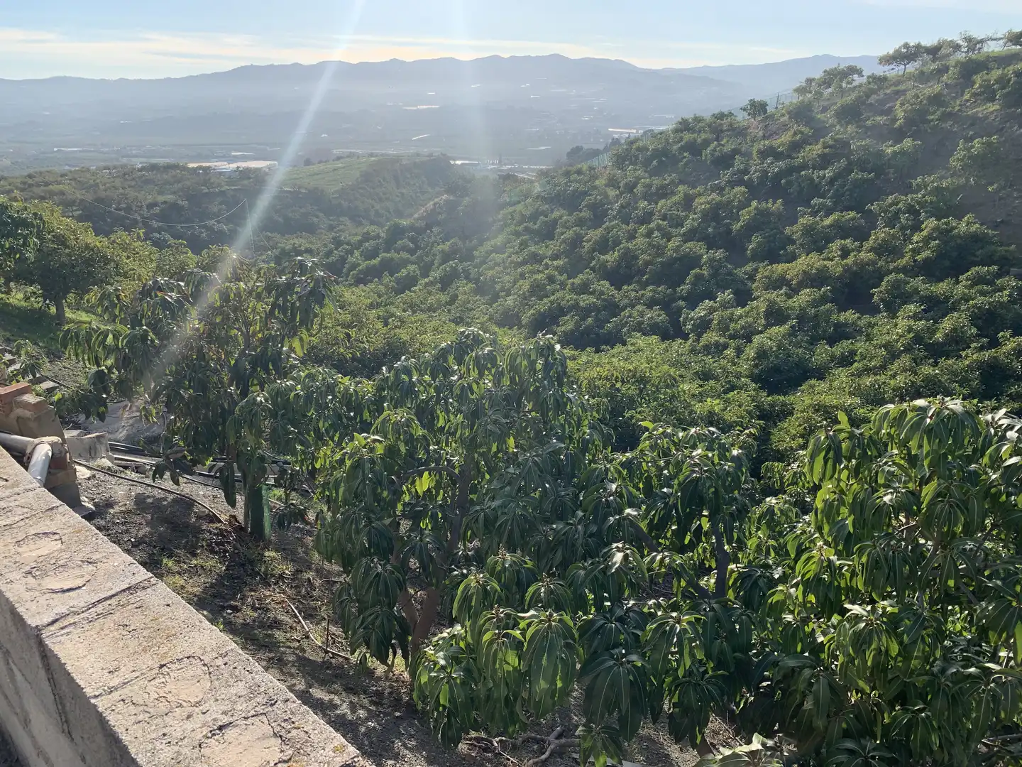 Vista exterior de Finca rústica en venta en Vélez-Málaga con Aire acondicionado, Jardín privado y Terraza
