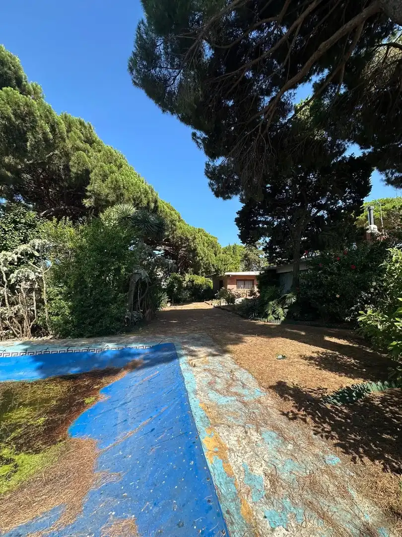 Jardín de Casa o chalet en venta en Algeciras